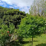 Inn Picos De Europa And *