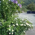 Inn Picos De Europa And