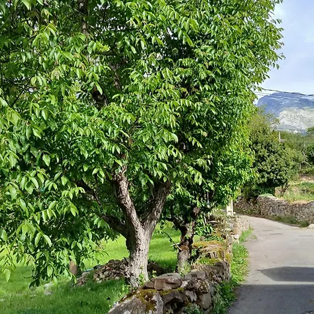 Herberg Picos De Europa And