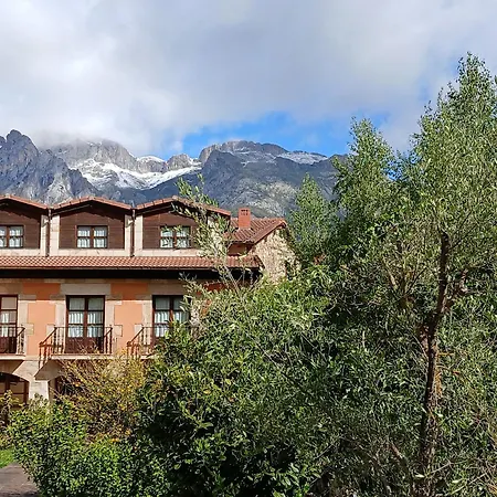 Picos De Europa And *