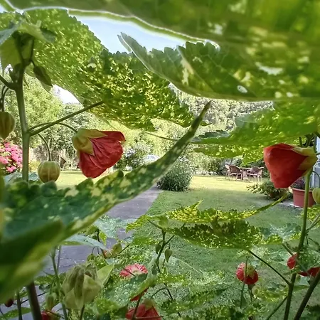 Fogadó Picos De Europa And *