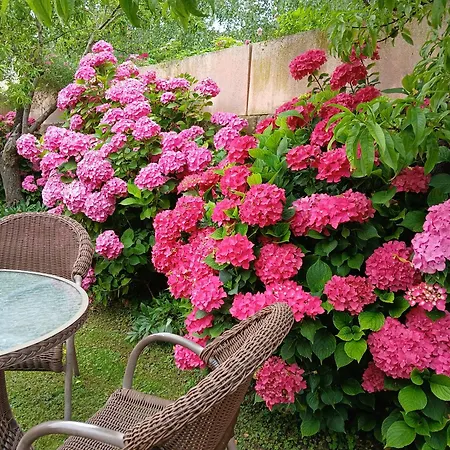 Picos De Europa And Estalagem Turieno