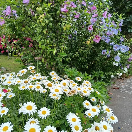 Fogadó Picos De Europa And Turieno