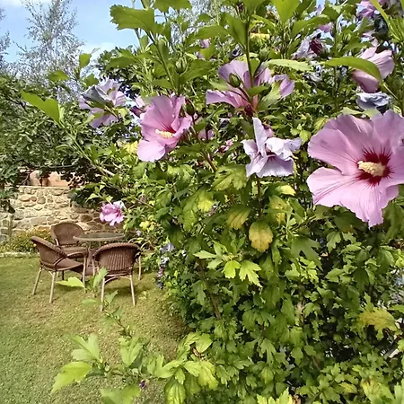 Picos De Europa And Fogadó *