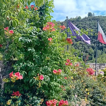 Picos De Europa And Turieno