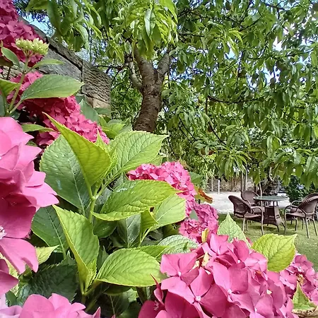 Estalagem Picos De Europa And