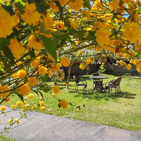 Picos De Europa And Herberg *