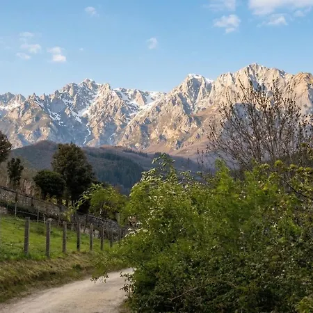 Inn Picos De Europa And 3*