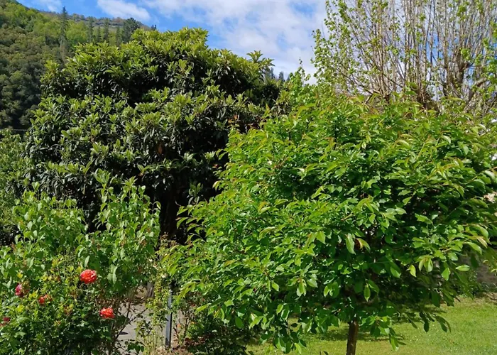 Inn Picos De Europa And *