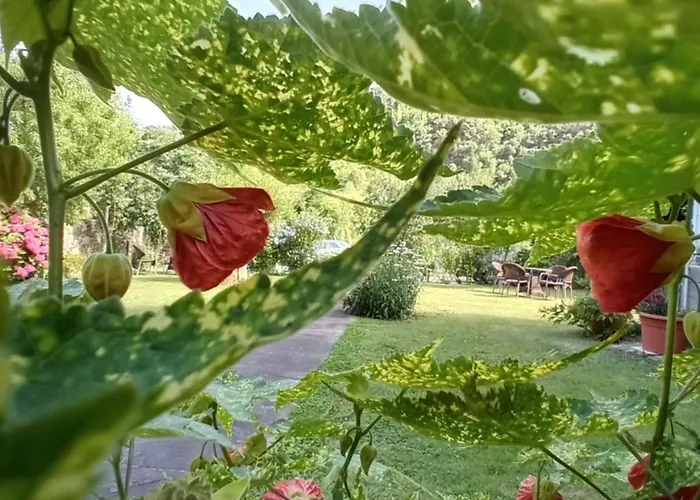 Inn Picos De Europa And *