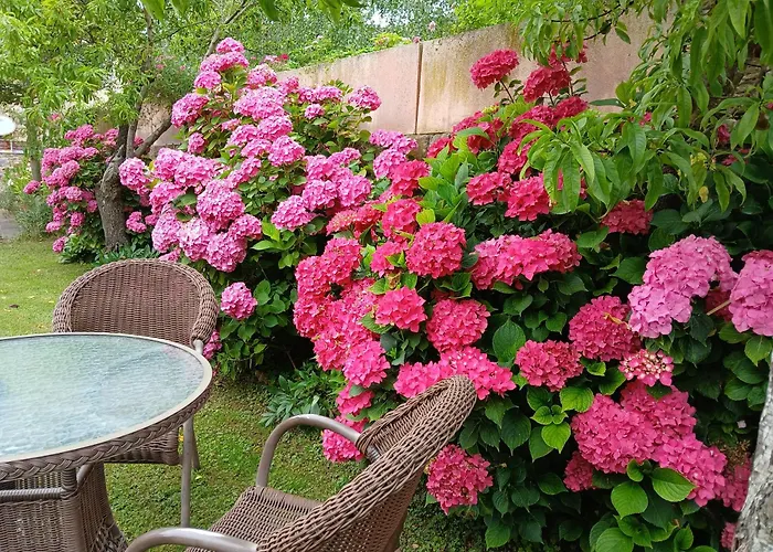 Picos De Europa And Herberg Turieno
