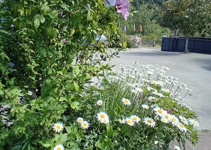 Herberg Picos De Europa And