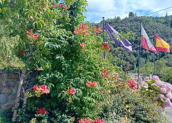 Picos De Europa And Turieno