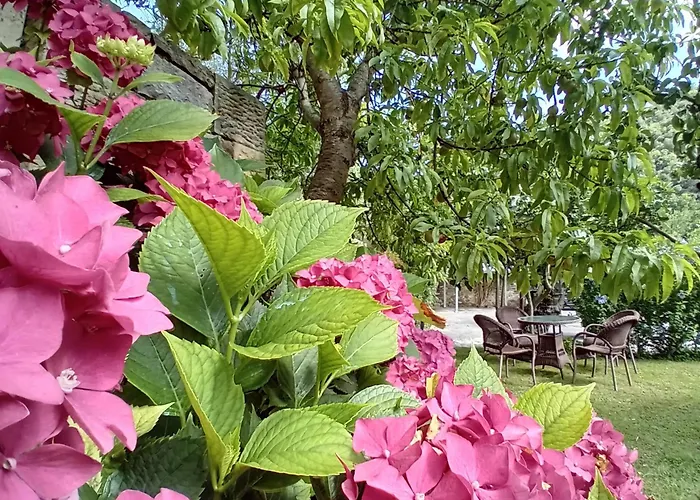 Herberg Picos De Europa And