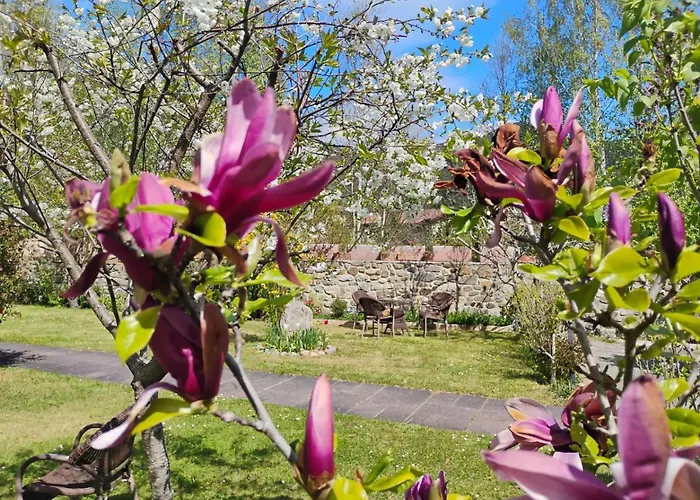 Picos De Europa And * Turieno
